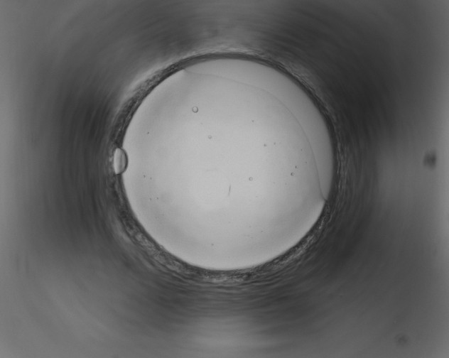 X0000115790680200912241832