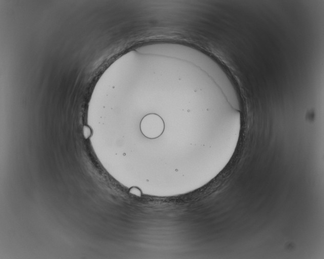 X0000115790681200912241832
