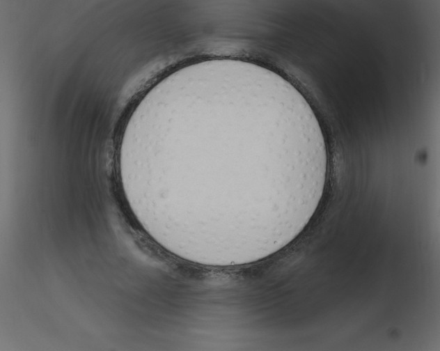 X0000115790682200912241832
