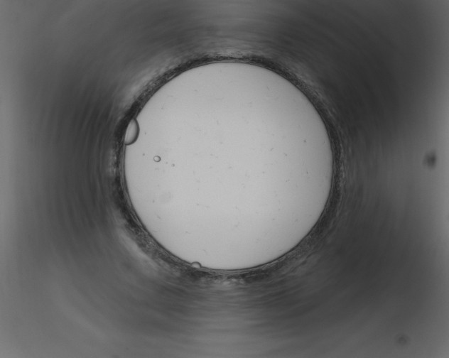 X0000115790683200912241832