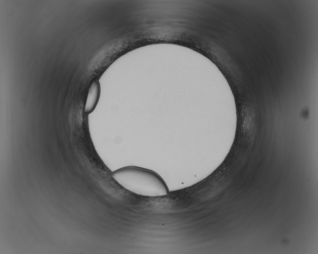 X0000115790685200912241832