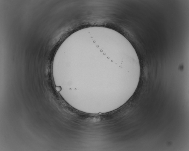 X0000115790687200912241832