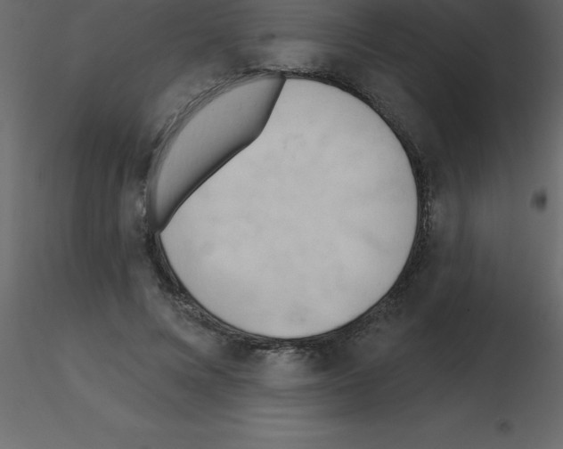 X0000115790688200912241832
