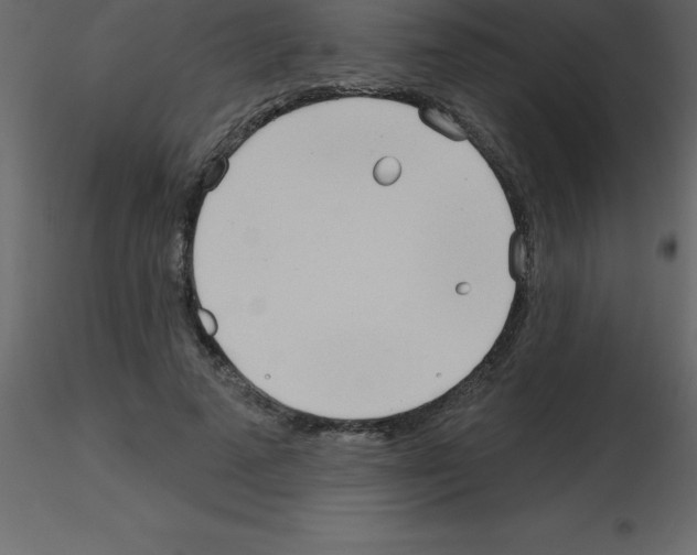 X0000115790689200912241832