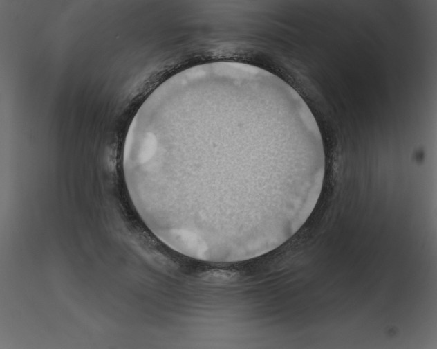 X0000115790691200912241832