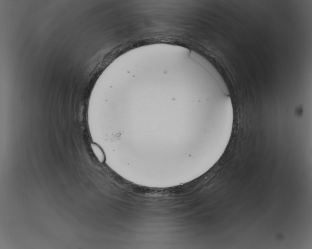 X0000115790693200912241832