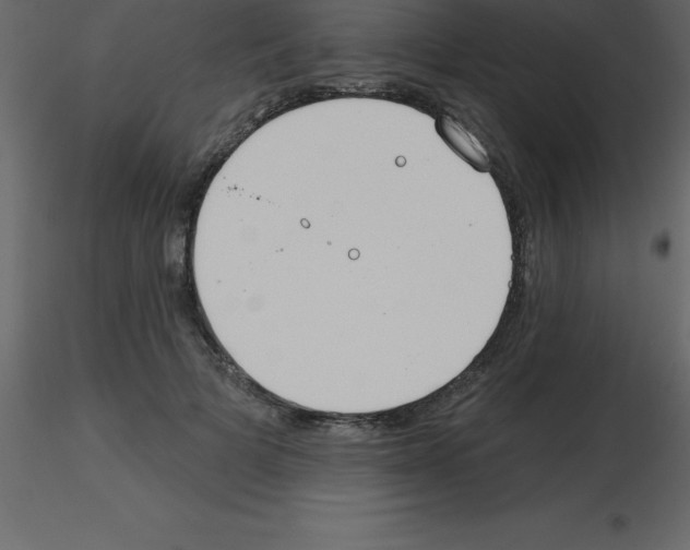 X0000115790697200912241832