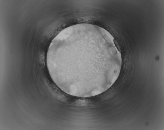 X0000115790699200912241832