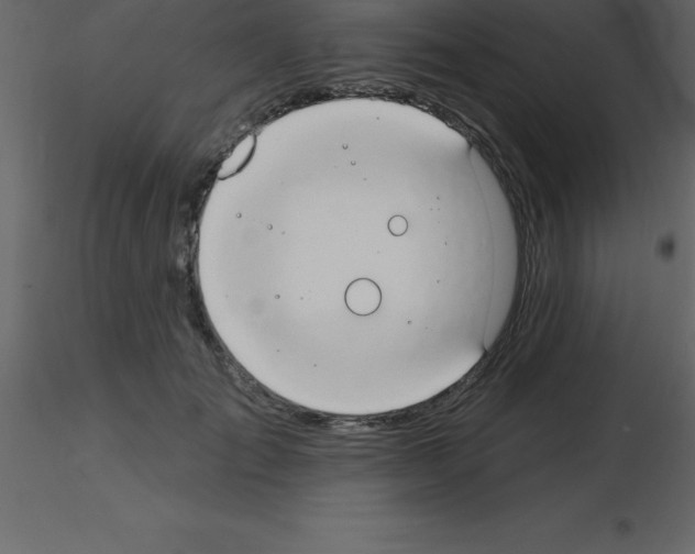 X0000115790701200912241832