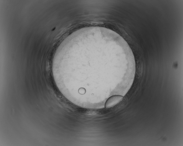X0000115790704200912241832
