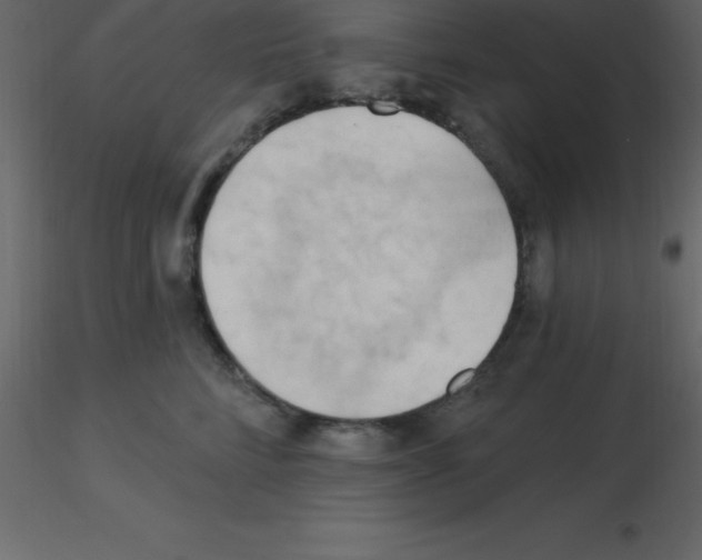 X0000115790712200912241831