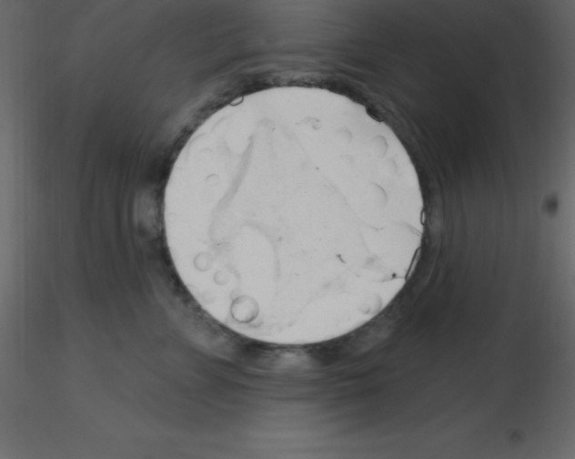 X0000115790715200912241831