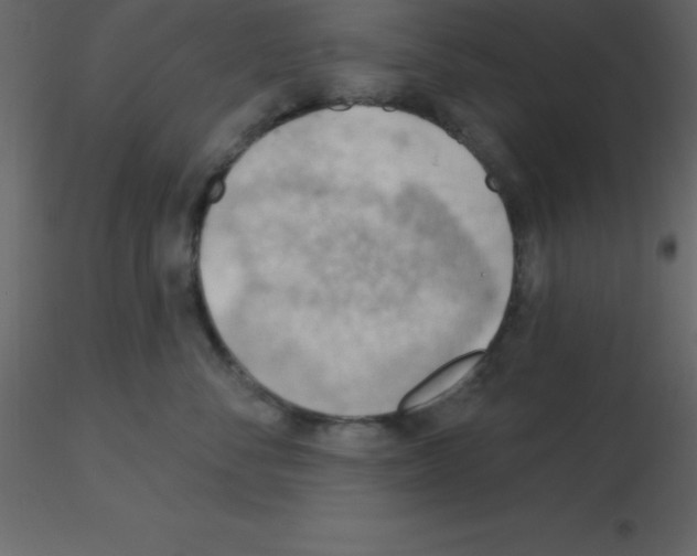 X0000115790716200912241831