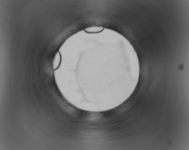 X0000115790719200912241831