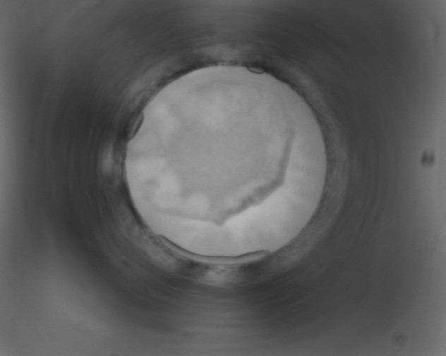 X0000115790720200912241831