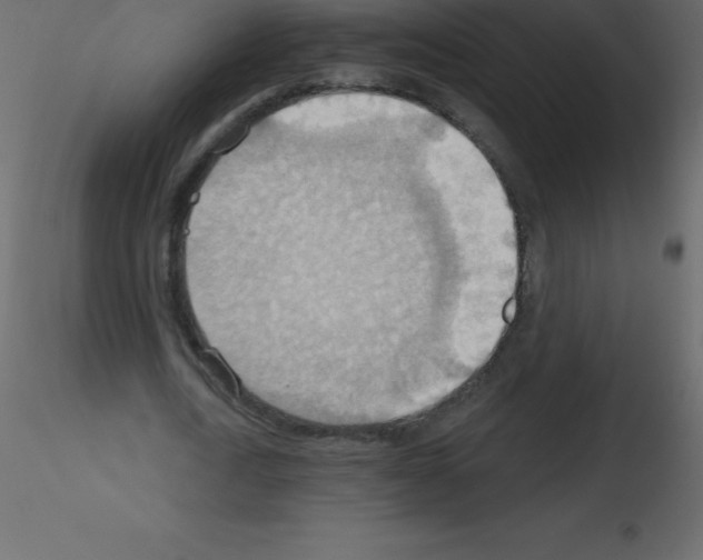 X0000115790722200912241831