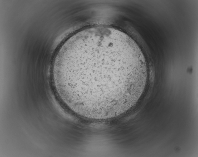 X0000115790725200912241831