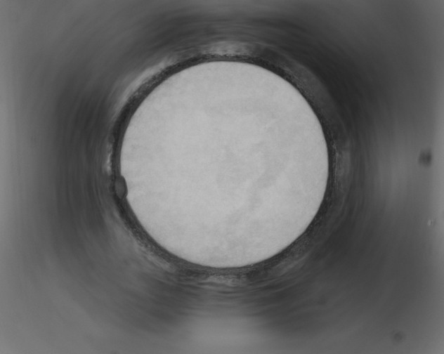 X0000115790727200912241831