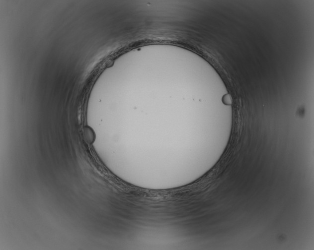 X0000115790731200912241831