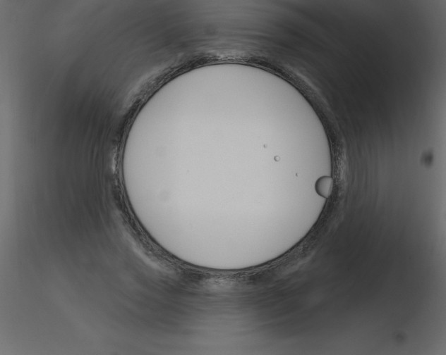 X0000115790733200912241831