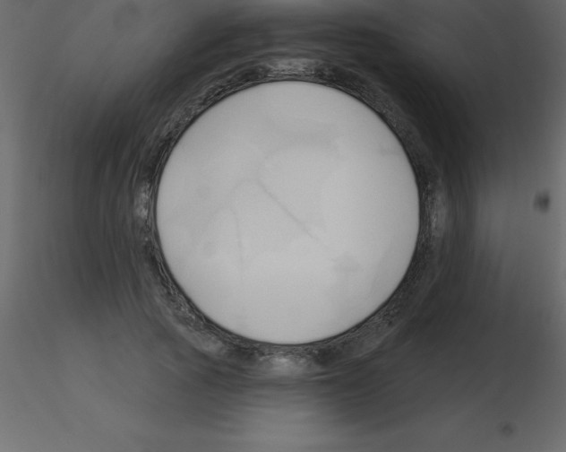 X0000115790737200912241831