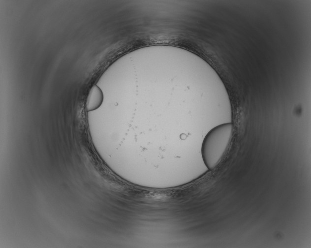 X0000115790741200912241831