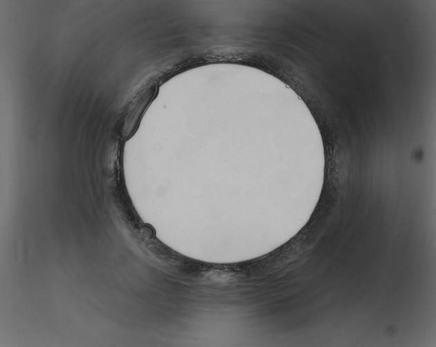 X0000115790742200912241831