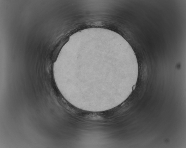 X0000115790747200912241831