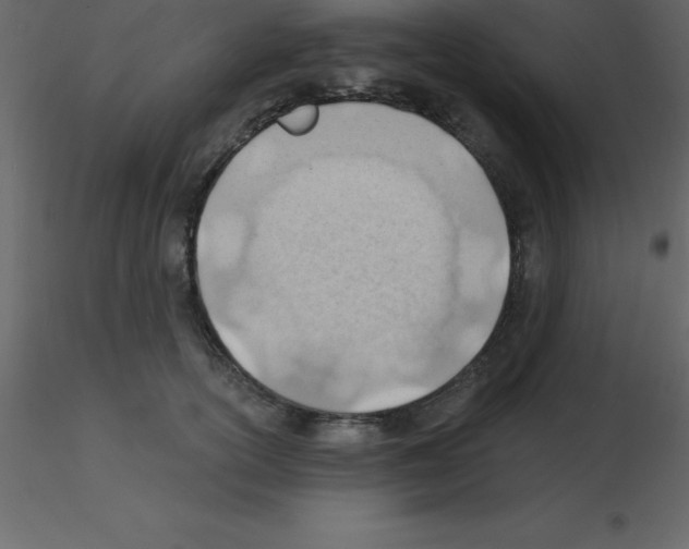 X0000115790754200912241831