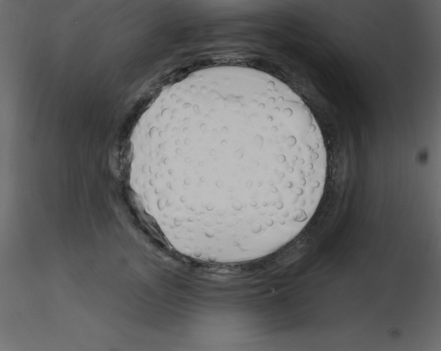 X0000115790755200912241831