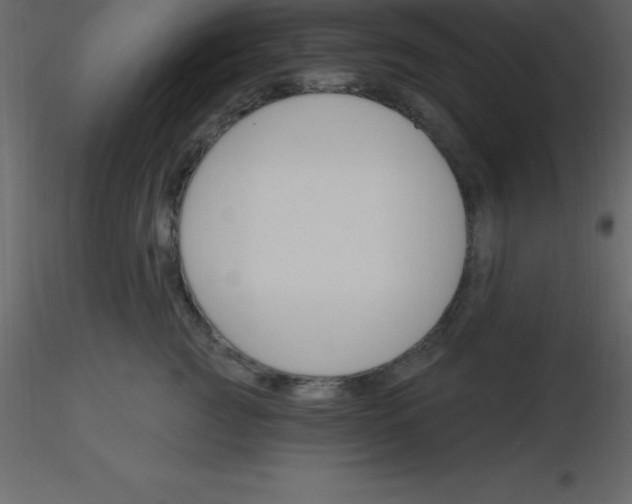 X0000115790761200912241831