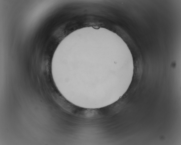 X0000115790762200912241831