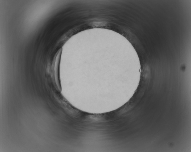 X0000115790763200912241831