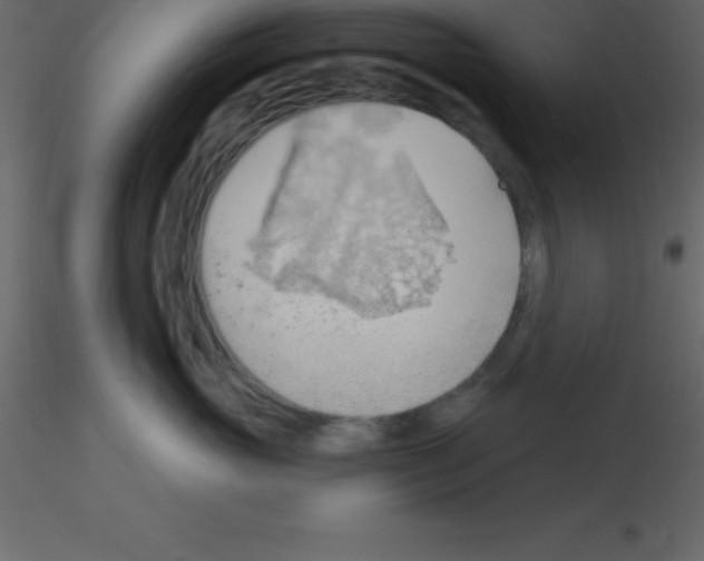 X0000115790765200912241831