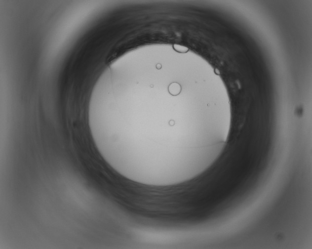 X0000115790766200912241831