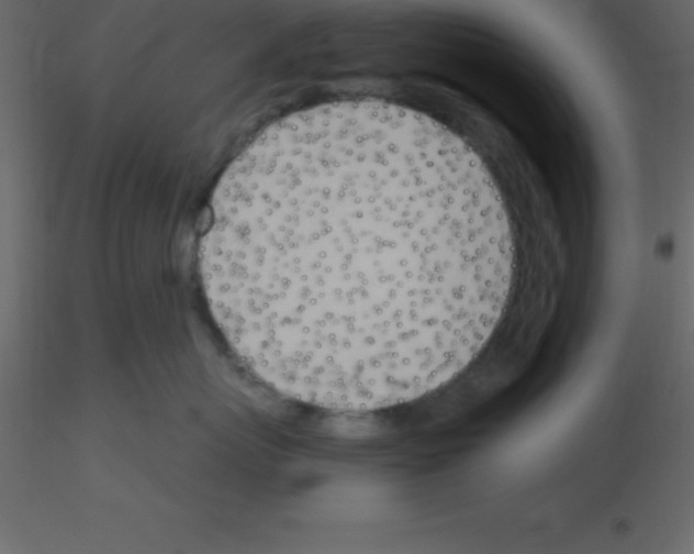 X0000115790767200912241831