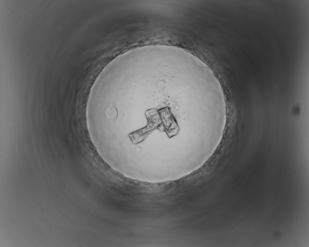 X0000115790769200912241831