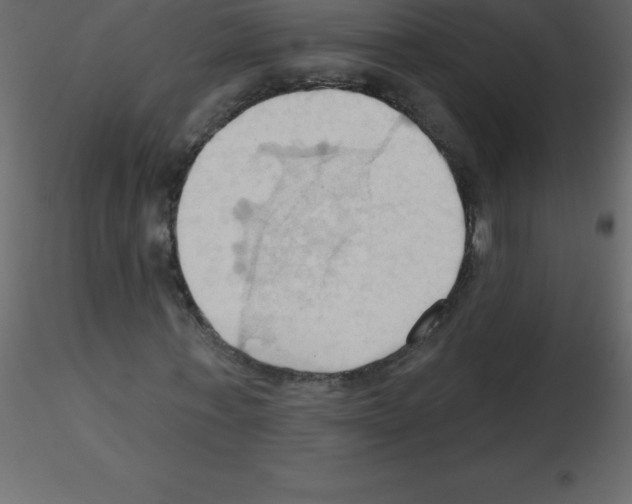X0000115790771200912241831