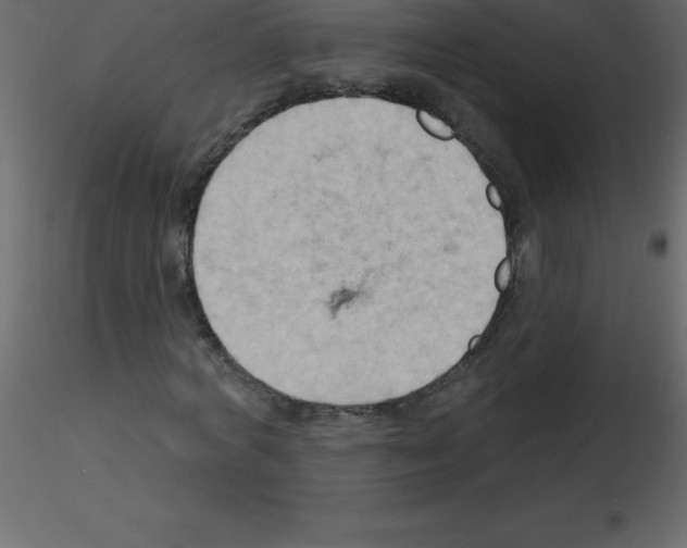 X0000115790772200912241831