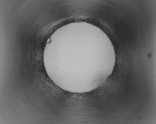 X0000115790773200912241831