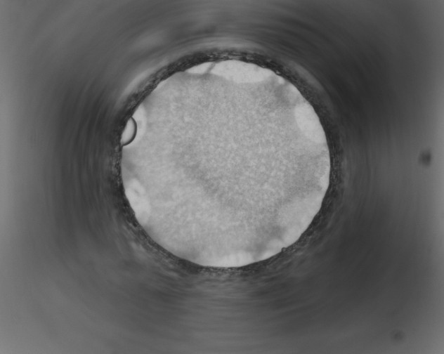 X0000115790775200912241831