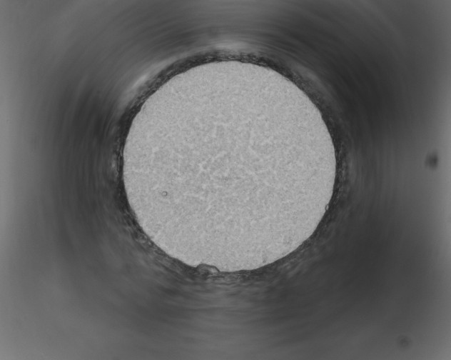 X0000115790776200912241831