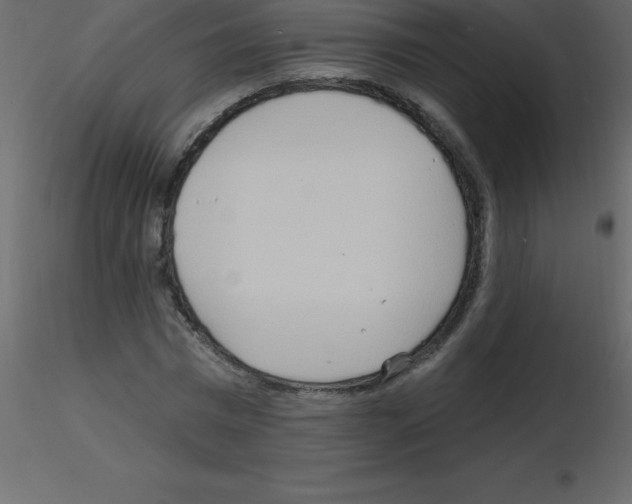 X0000115790777200912241831