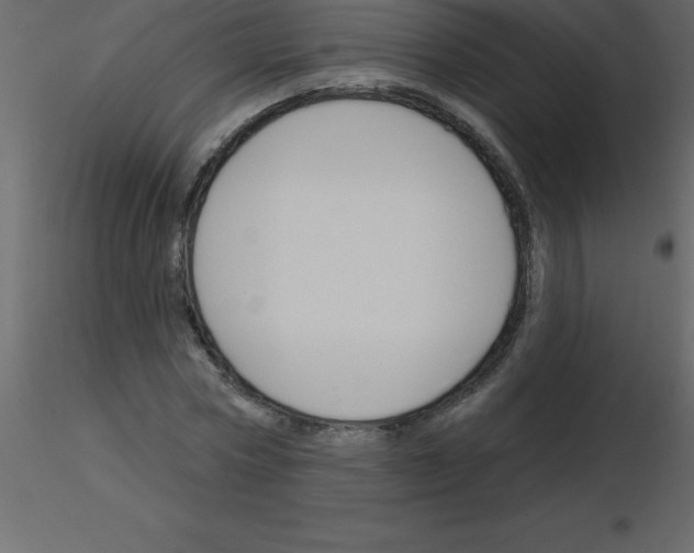 X0000115790778200912241831