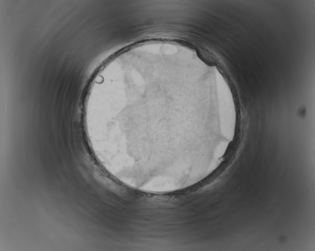 X0000115790779200912241831