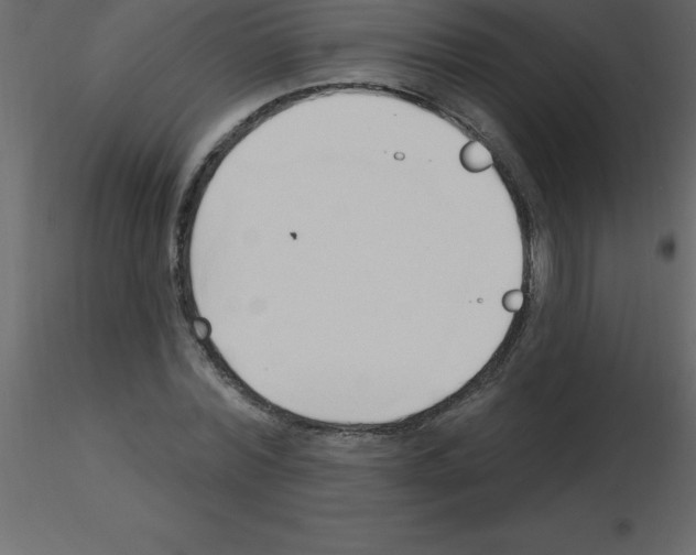 X0000115790780200912241831