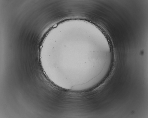 X0000115790781200912241831