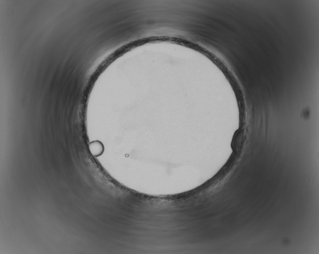 X0000115790783200912241831