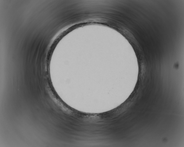 X0000115790784200912241831