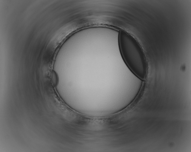 X0000115790785200912241830